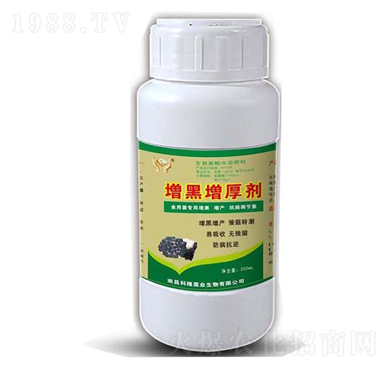 ��ЦЦ����������-���_(d��)����