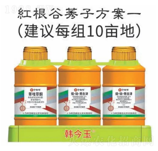 �t����ݬ�ӷ���-�n����-�n�ѻ��W