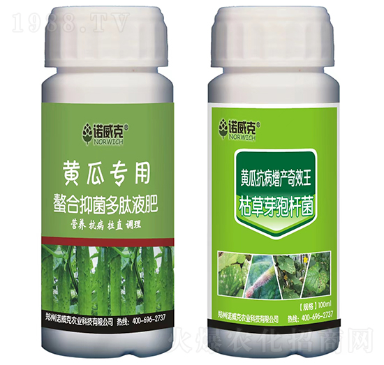 黃瓜專(zhuān)用螯合抑菌多肽液肥+黃瓜抗病增產(chǎn)奇效王-諾威克