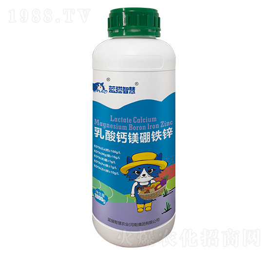 �����}�V���F�\-�{؈�ǻ�