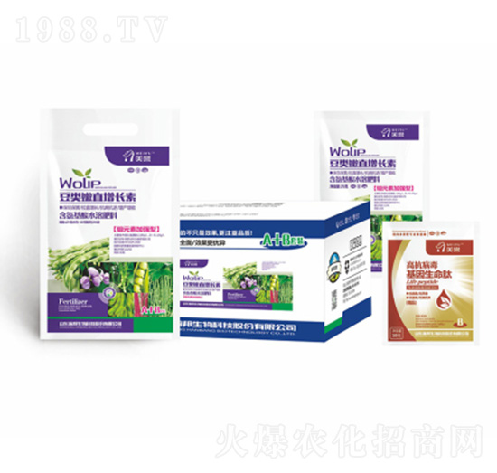 ������~���L��-嫰�����