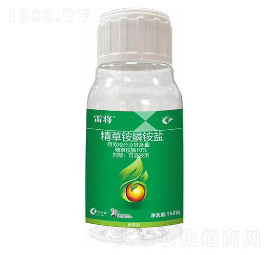 10%�����@�-�׌�-����¡����