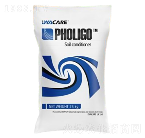 �����{�턩-�����ɷ�