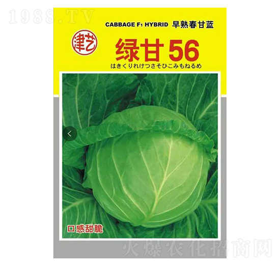 ���{�N��-�G��56-���S�r(n��ng)�I(y��)