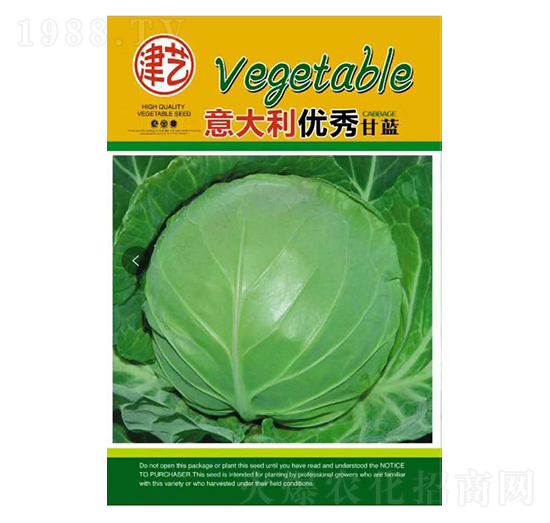 甘藍種子-邯豐農業(yè)