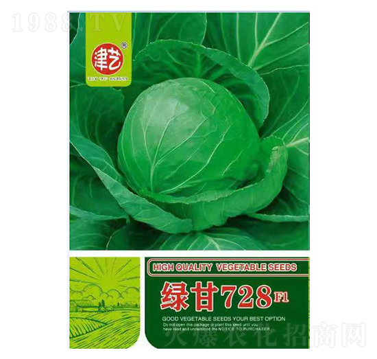 甘藍種子-綠甘728-邯豐農(nóng)業(yè)
