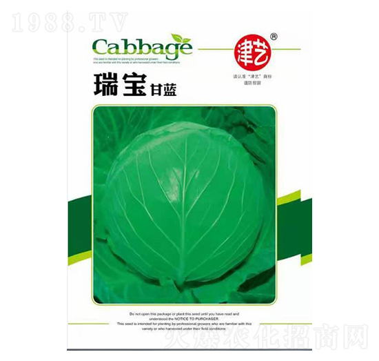 甘藍種子-瑞寶甘藍-邯豐農(nóng)業(yè)