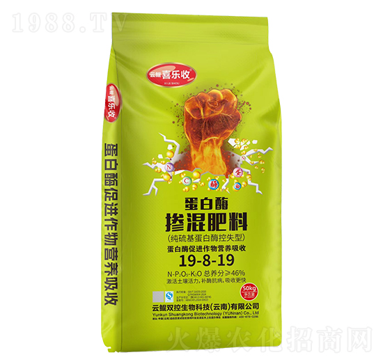 ����ø�������19-8-19-�t̫�