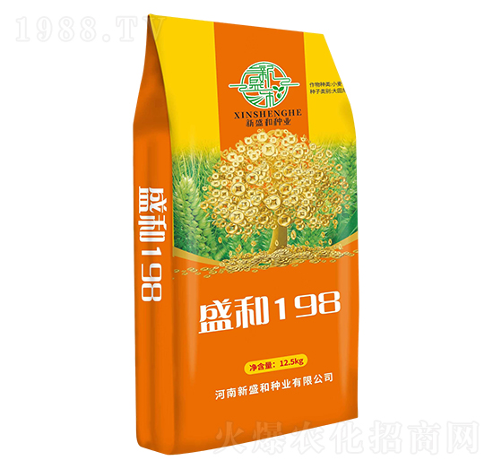 ʢ��198-С���N��-�t̫�(y��ng)