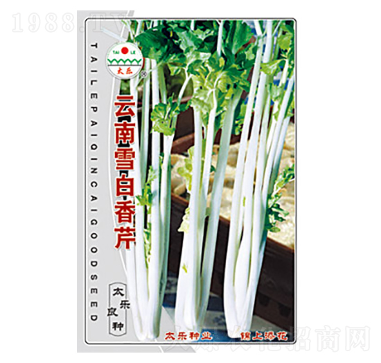 ����ѩ������-̫��(l��)�N�I(y��)