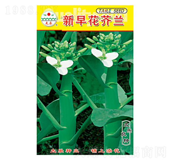 ���m�N��-���绨���m-̫���N�I(y��)