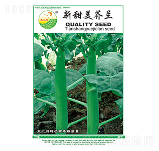 ���m�N��-���������m-̫��(l��)�N�I(y��)