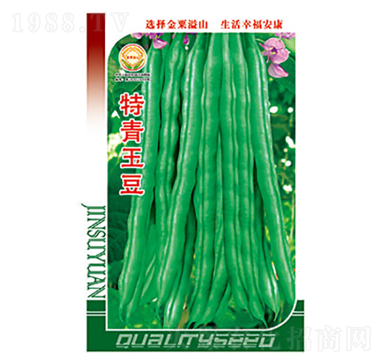 �����N��-������-̫���N�I(y��)