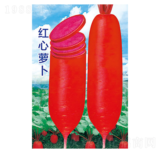 �}���N��-�t���}��-̫��(l��)�N�I(y��)