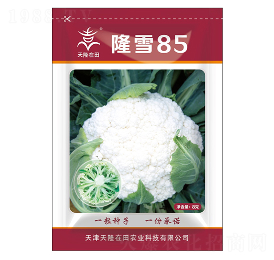 隆雪85-天隆在田-天隆農(nóng)業(yè)