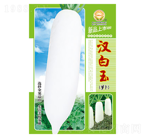 �}���N��-�h����-̫��(l��)�N�I(y��)