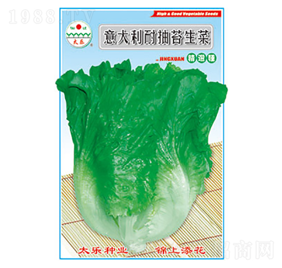 生菜種子-意大利耐抽苔生菜-太樂(lè)種業(yè)