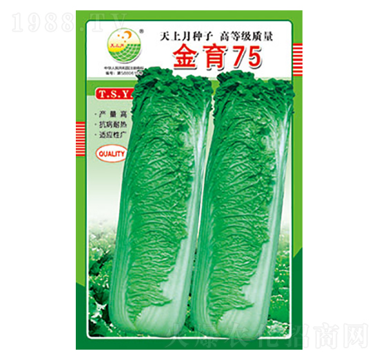 白菜種子-金育75-太樂(lè)種業(yè)