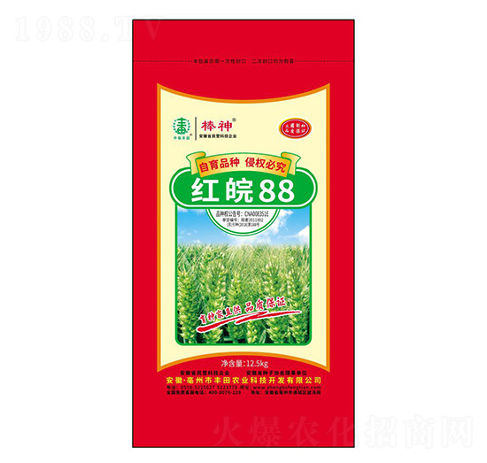 紅皖88小麥種子-棒神-豐田農業(yè)