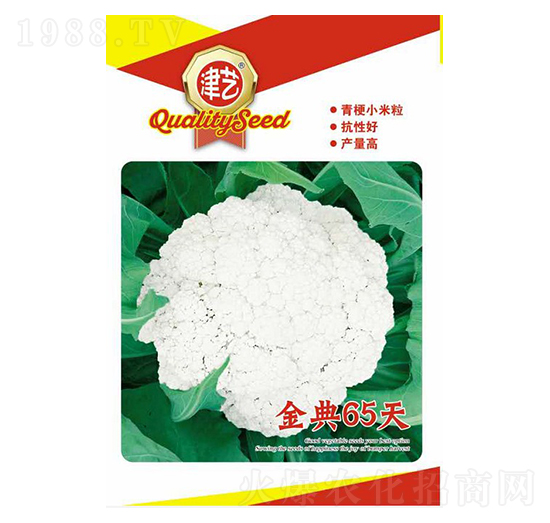 ���˷N��-���65��-���S�r�I(y��)