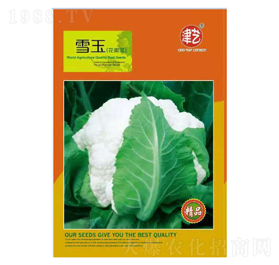 ���˷N��-ѩ��-���S�r(n��ng)�I(y��)