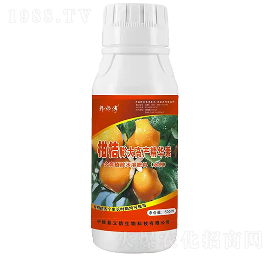 柑桔膨大高產(chǎn)精華素-郭師傅-立信生物