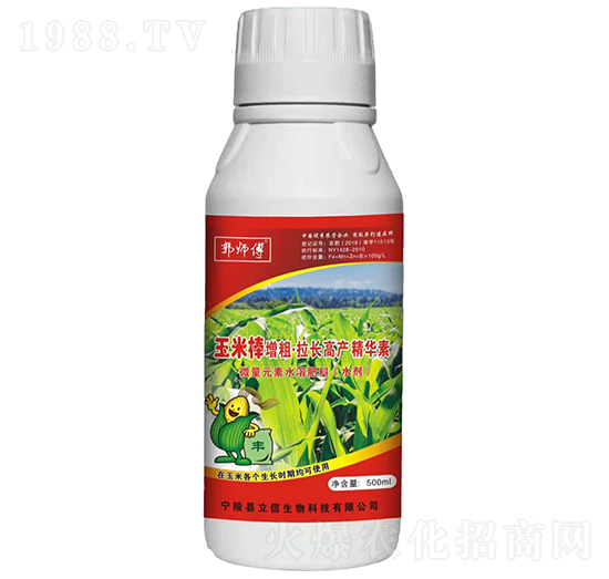 玉米棒增粗·拉長高產(chǎn)精華素-郭師傅-立信生物