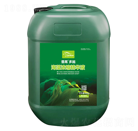 海藻濃縮精華液-普苒多施