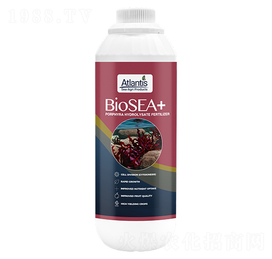 低溫生物酶解褐藻-藍(lán)鉑森