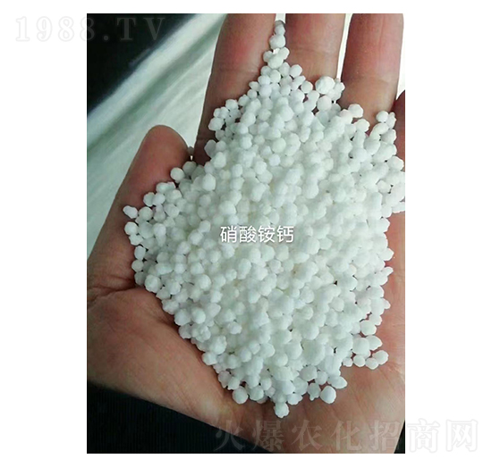 �����@�}-�Z�·ʘI(y��)