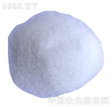 �Õr��-19-19-19+TE