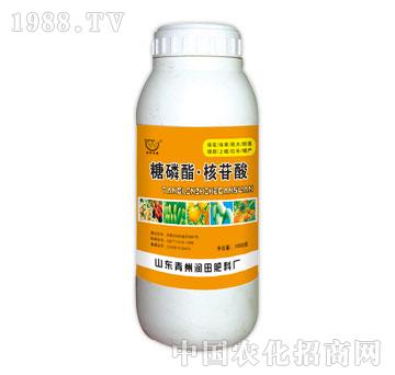 潤(rùn)田-糖磷脂核苷酸