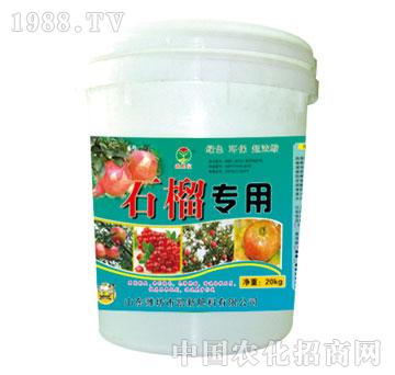 ��(r��n)��-ʯ��(zhu��n)��