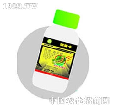 ����-��������