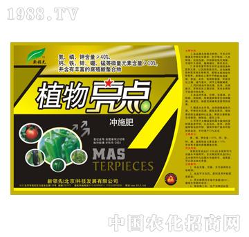 植物亮點沖施肥-標(biāo)創(chuàng)