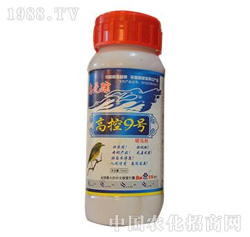 �߿�9̖-�����r��