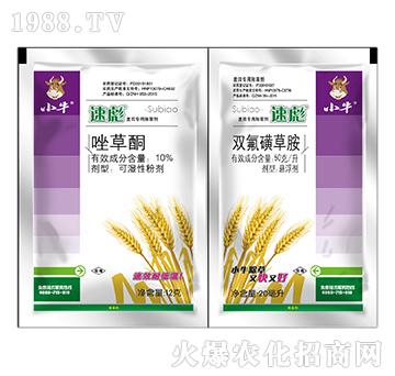 小牛速彪雙連包-10%唑草酮+雙氟磺草胺
