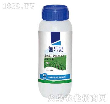 45.5%�����`-�x��