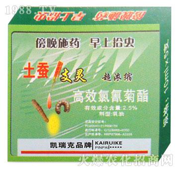 ���Q1֧�`-�P���