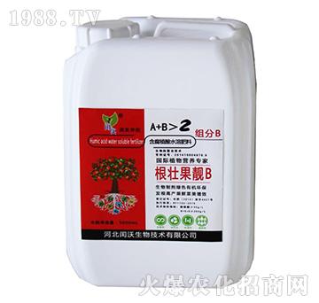 ���ѹ��nB-�c��