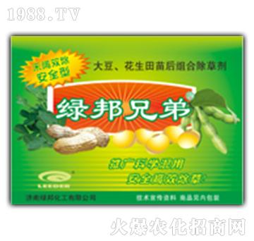 綠邦兄弟(安全型)-綠邦