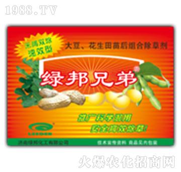 綠邦兄弟(速效型)-綠邦