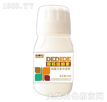 ԭ�˼�(x��)����-�µص�