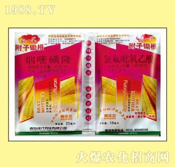 煙嘧磺隆+氯氟吡氧乙酸-附子除根-瀚樂爾