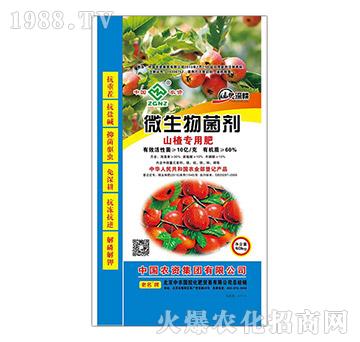 ɽ髌���΢�������-���r