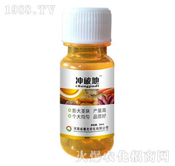 地下作物澎果-沖破地-春光農(nóng)化