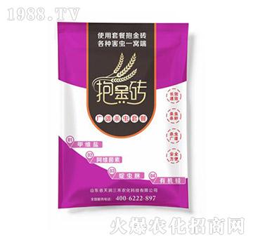 �V�V���x�ײ�-����u-�읙(r��n)����