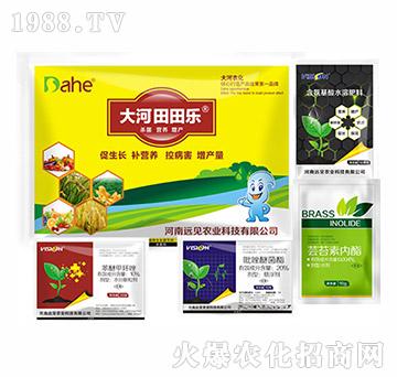 大河田田樂增產(chǎn)套餐-遠(yuǎn)見農(nóng)業(yè)