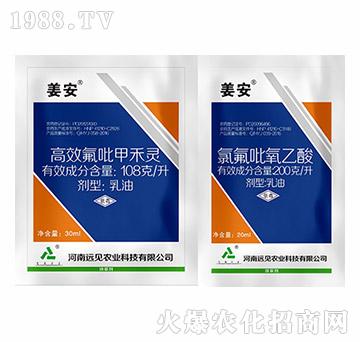 姜安-遠(yuǎn)見(jiàn)農(nóng)業(yè)