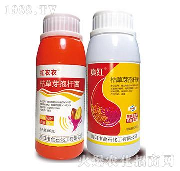 枯草芽孢桿菌-金石